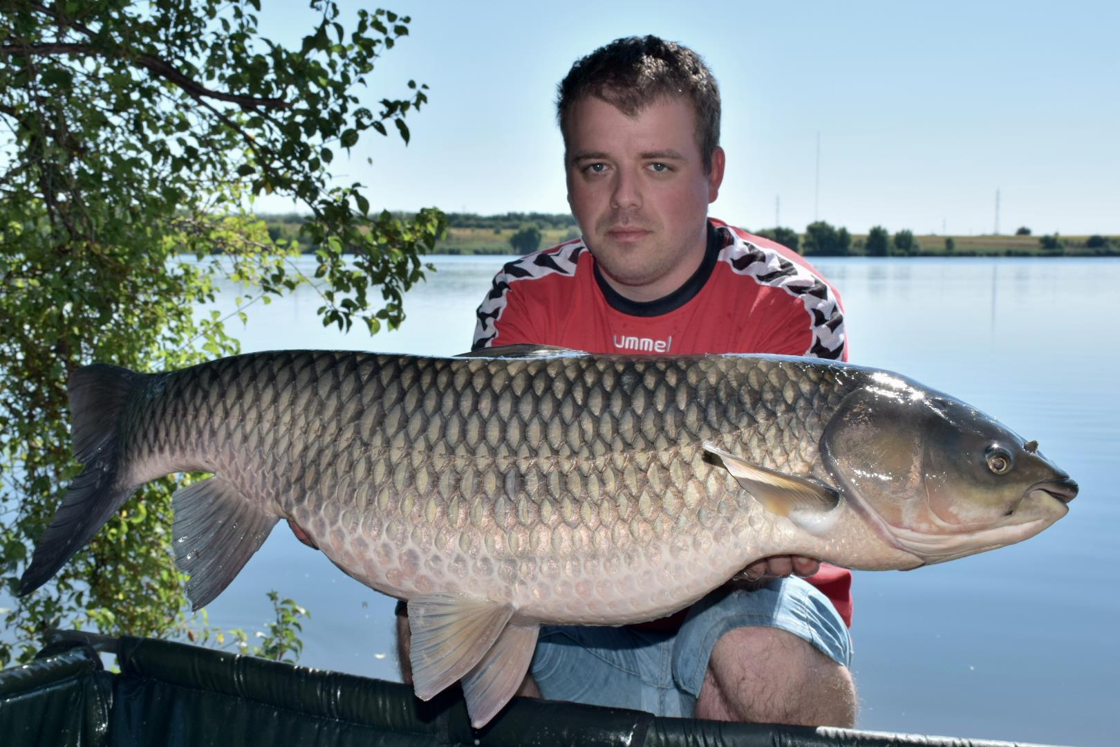 Tancabesti 13 - 15 aug. - csc0968.JPG